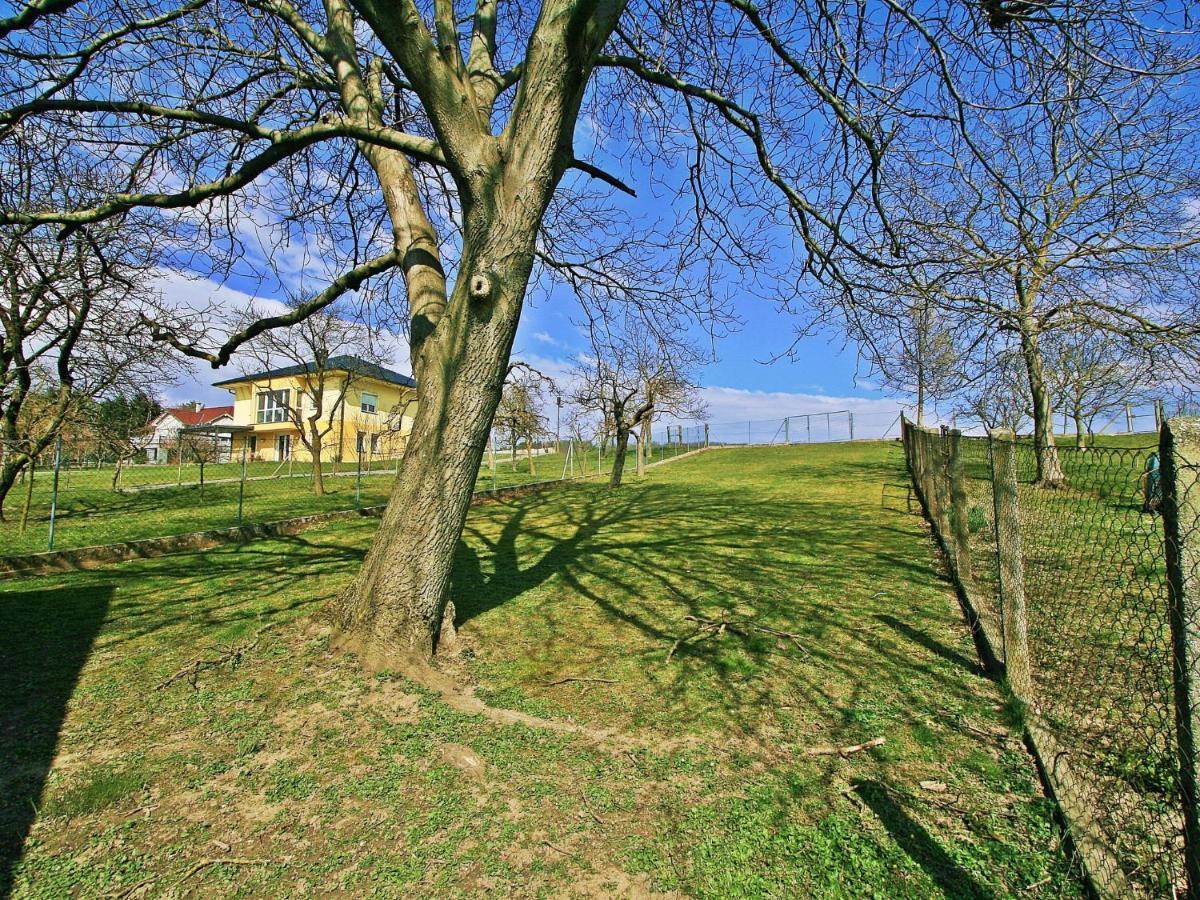 Holiday Home Friedl Ritzing Eksteriør billede
